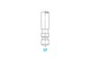 GMC 3989088 Inlet Valve